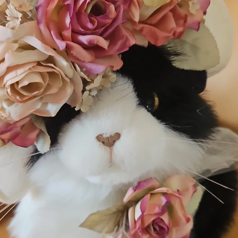 Black and White Plush Cat with flowered hat.